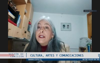 Exposición de ANATRAP en Comisión de Cultura de Cámara de Diputadas/os